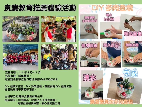 DIY多肉植物盆栽 需先來電預約後下單